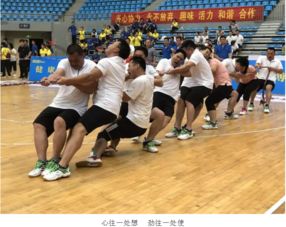 博罗县交通系统党委组织参加第二届县直机关趣味运动会